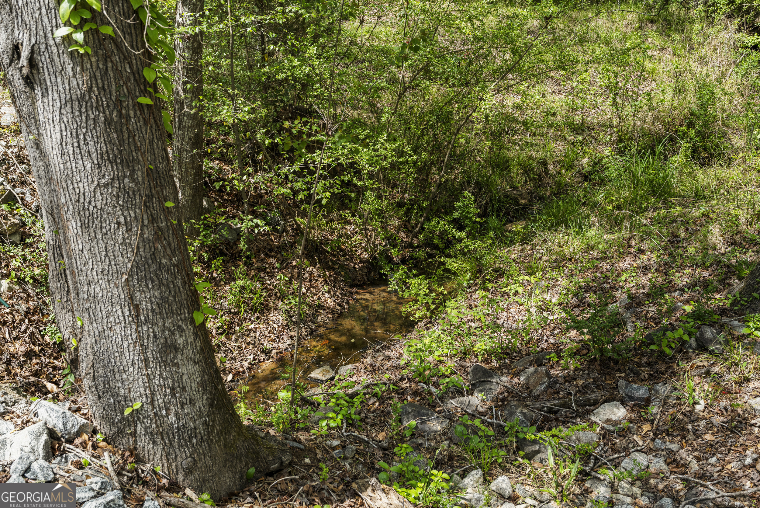 9442 Comanche Road Columbus, GA 31904 - Photo 26 of 32