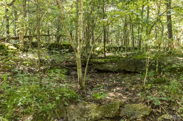 $90,000 | 2 Cedar Hollow Road, Fletcher, MO 63030