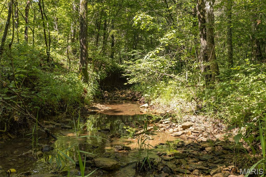2 Cedar Hollow Road Fletcher, MO 63030 - Photo 62 of 96