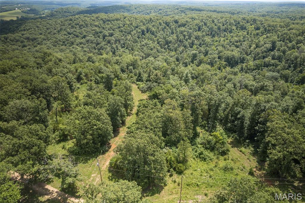 2 Cedar Hollow Road Fletcher, MO 63030 - Photo 82 of 96