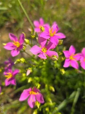 $90,000 | 2 Cedar Hollow Road, Fletcher, MO 63030