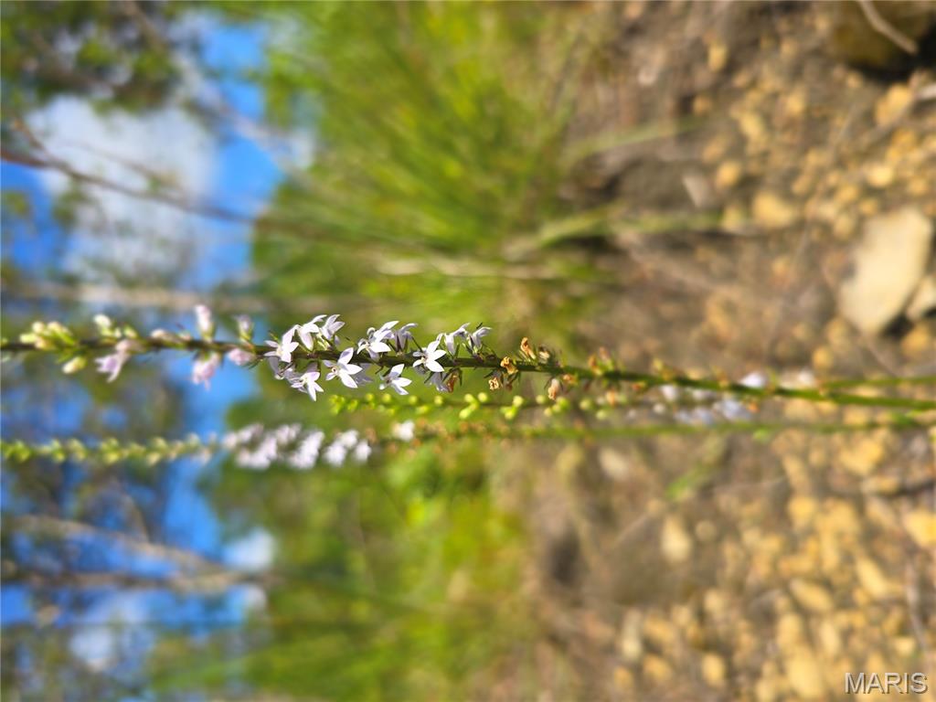 2 Cedar Hollow Road Fletcher, MO 63030 - Photo 87 of 96
