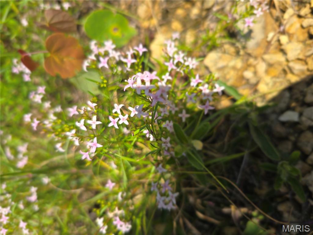 2 Cedar Hollow Road Fletcher, MO 63030 - Photo 88 of 96