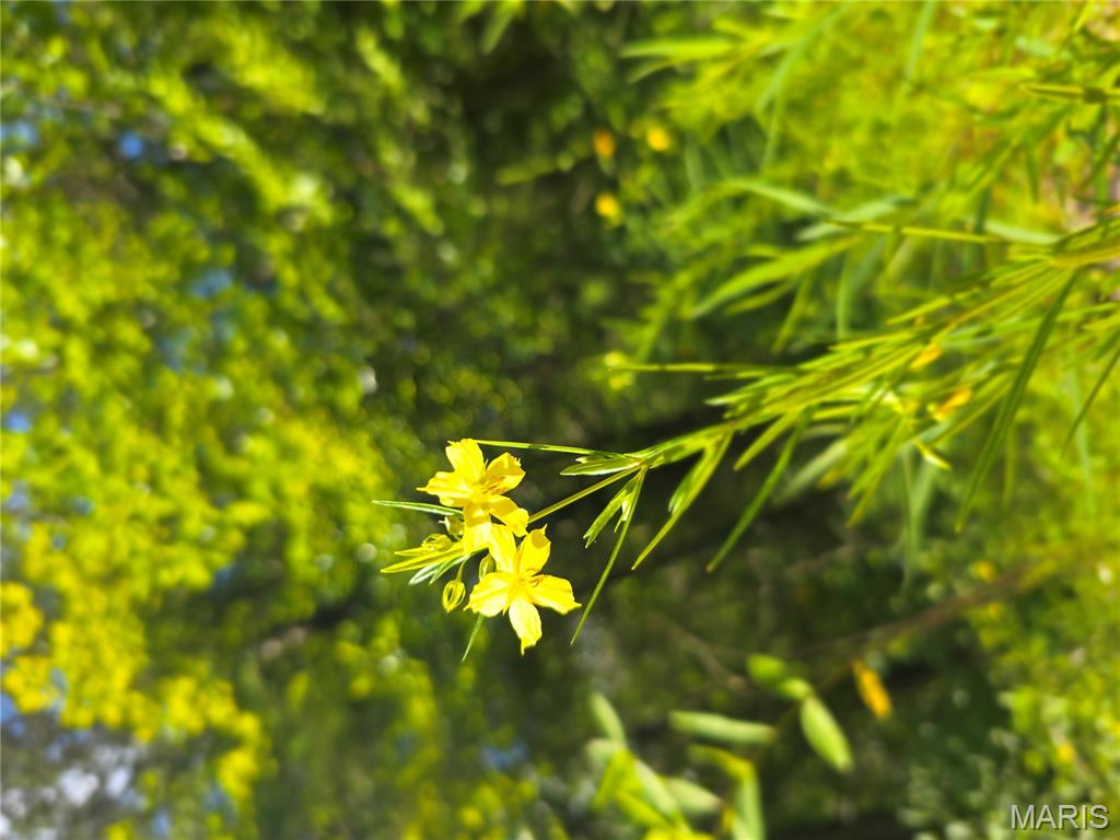 2 Cedar Hollow Road Fletcher, MO 63030 - Photo 89 of 96