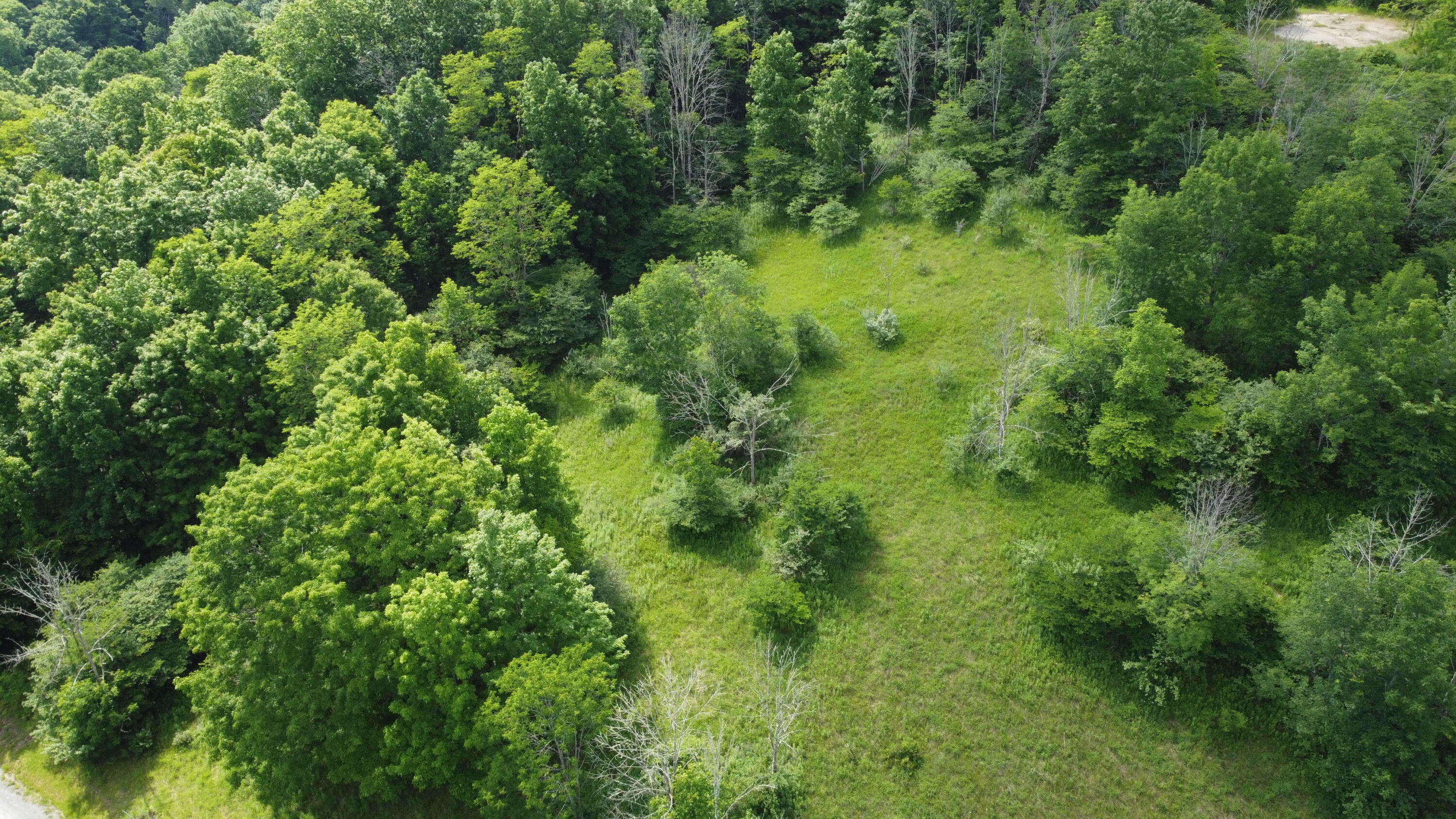 206 Sunset Pass Road Slatyfork, WV 26291 - Photo 9 of 10 DJI_0705