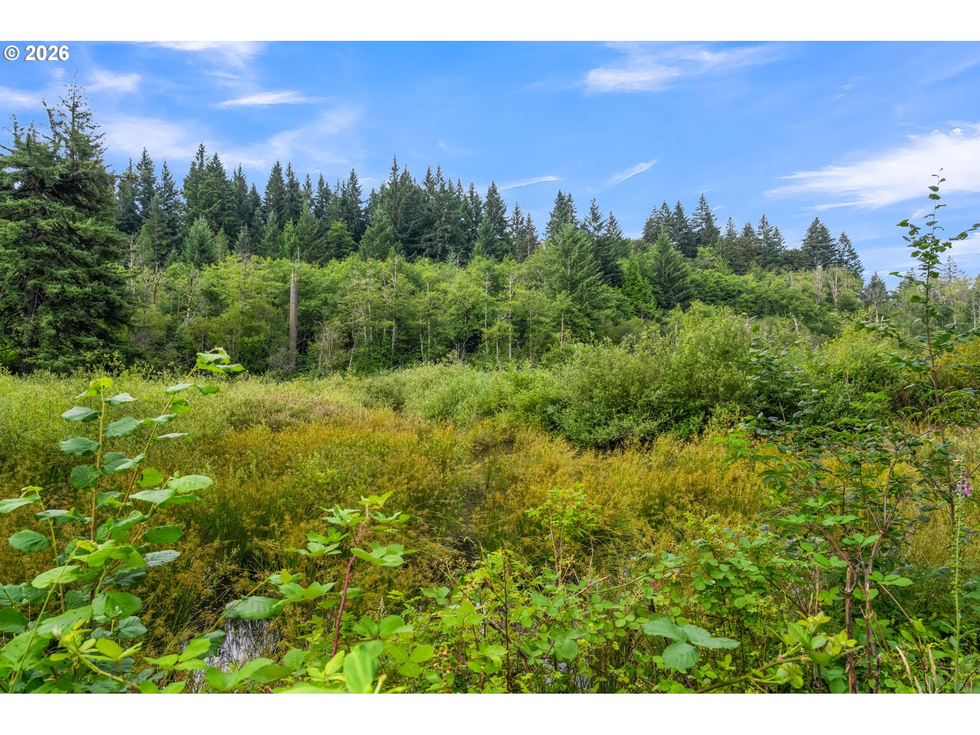 3832 Northeast Cavitt Road Camas, WA 98607 - Photo 44 of 44