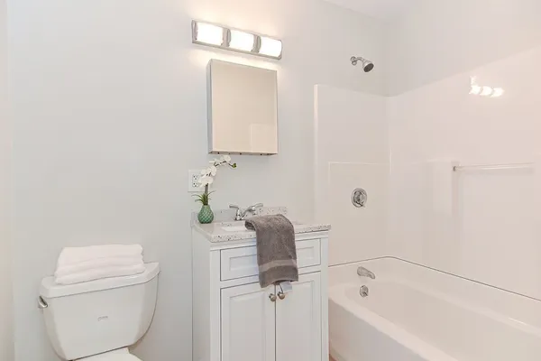 a bathroom with a toilet and a bathtub
