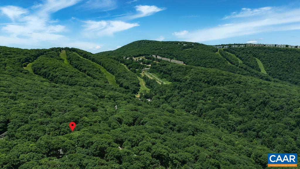 24 Pedlars Point Wintergreen, VA 22967 - Photo 47 of 51