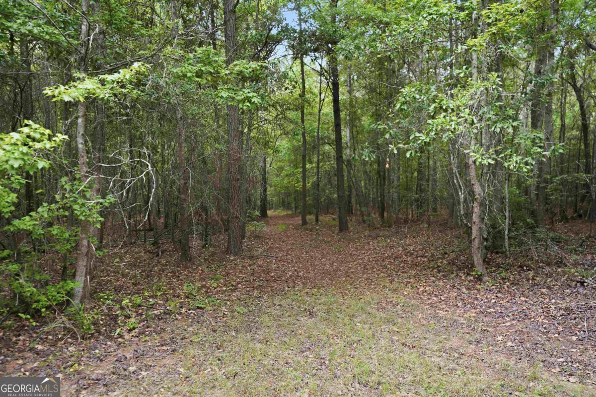 0 Pear Orchard Road Greensboro, GA 30642 - Photo 18 of 34