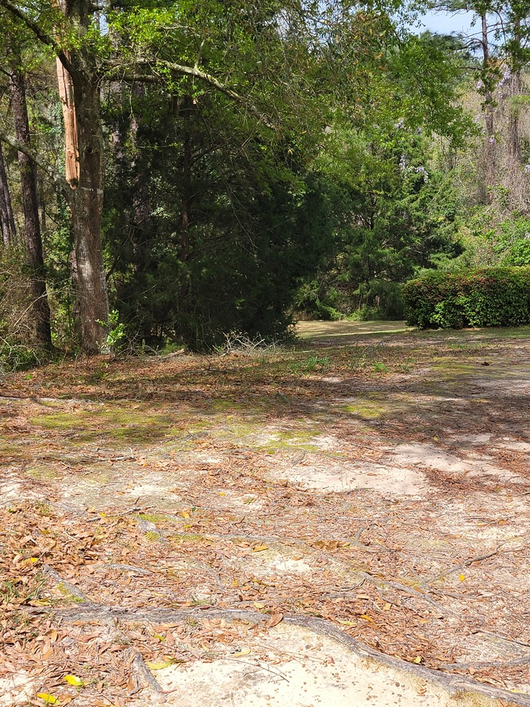 612 Beaver Creek Road Dothan, AL 36303 - Photo 51 of 52 Gallery Image 51