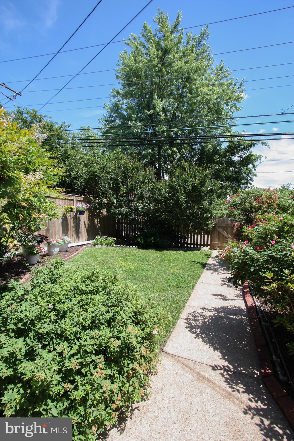 8161 Pleasant Plains Road Baltimore, MD 21286 - Photo 46 of 52 Back yard