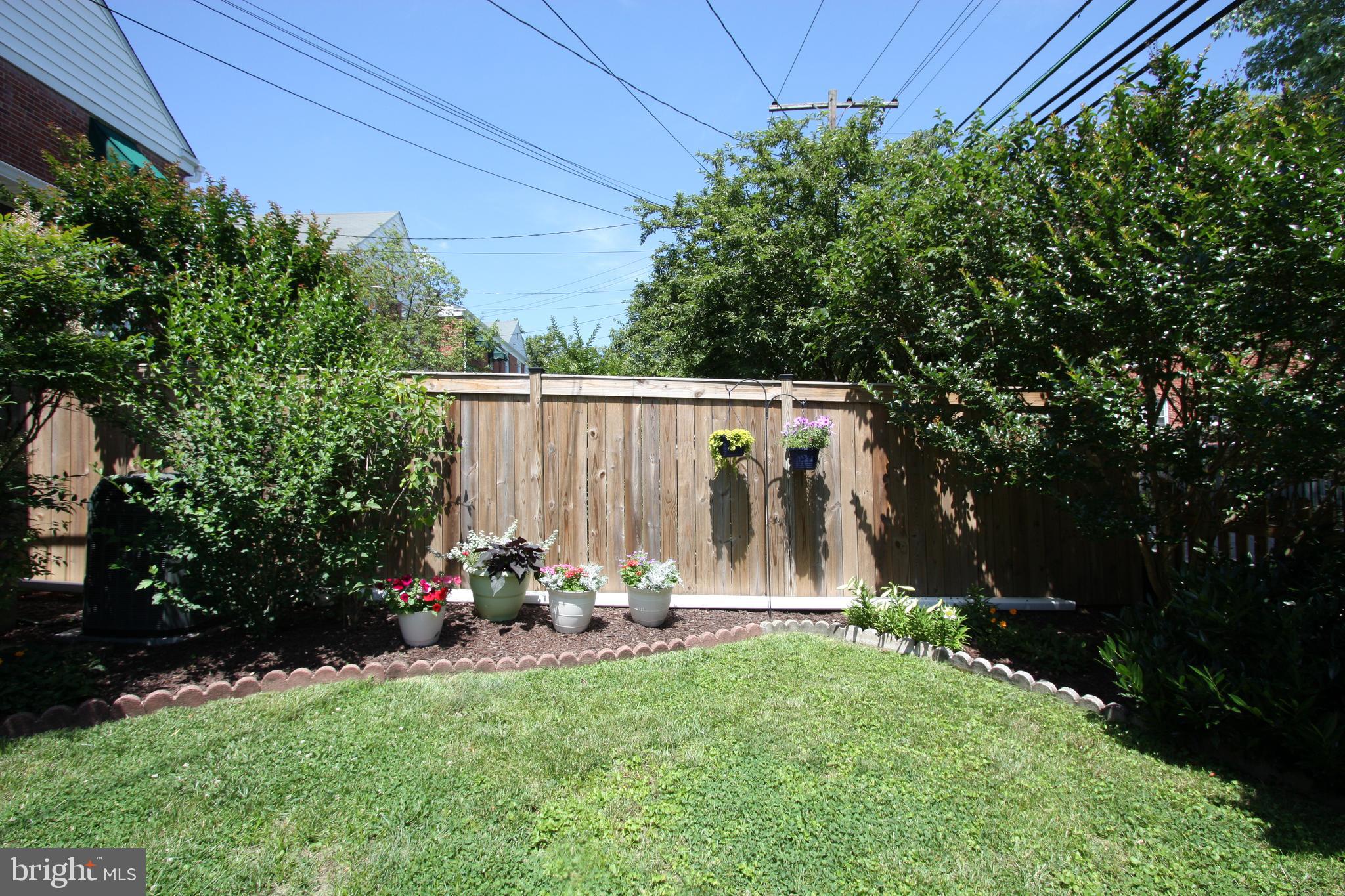 8161 Pleasant Plains Road Baltimore, MD 21286 - Photo 49 of 52 Lovely Landscaping in Back Yard