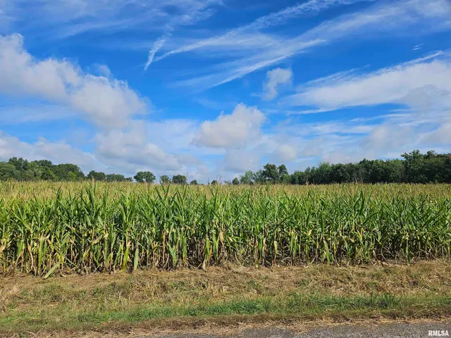 $300,000 | 0 North County Line Road, Ina, IL 62846