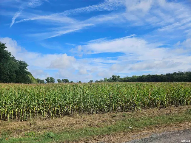 $300,000 | 0 North County Line Road, Ina, IL 62846