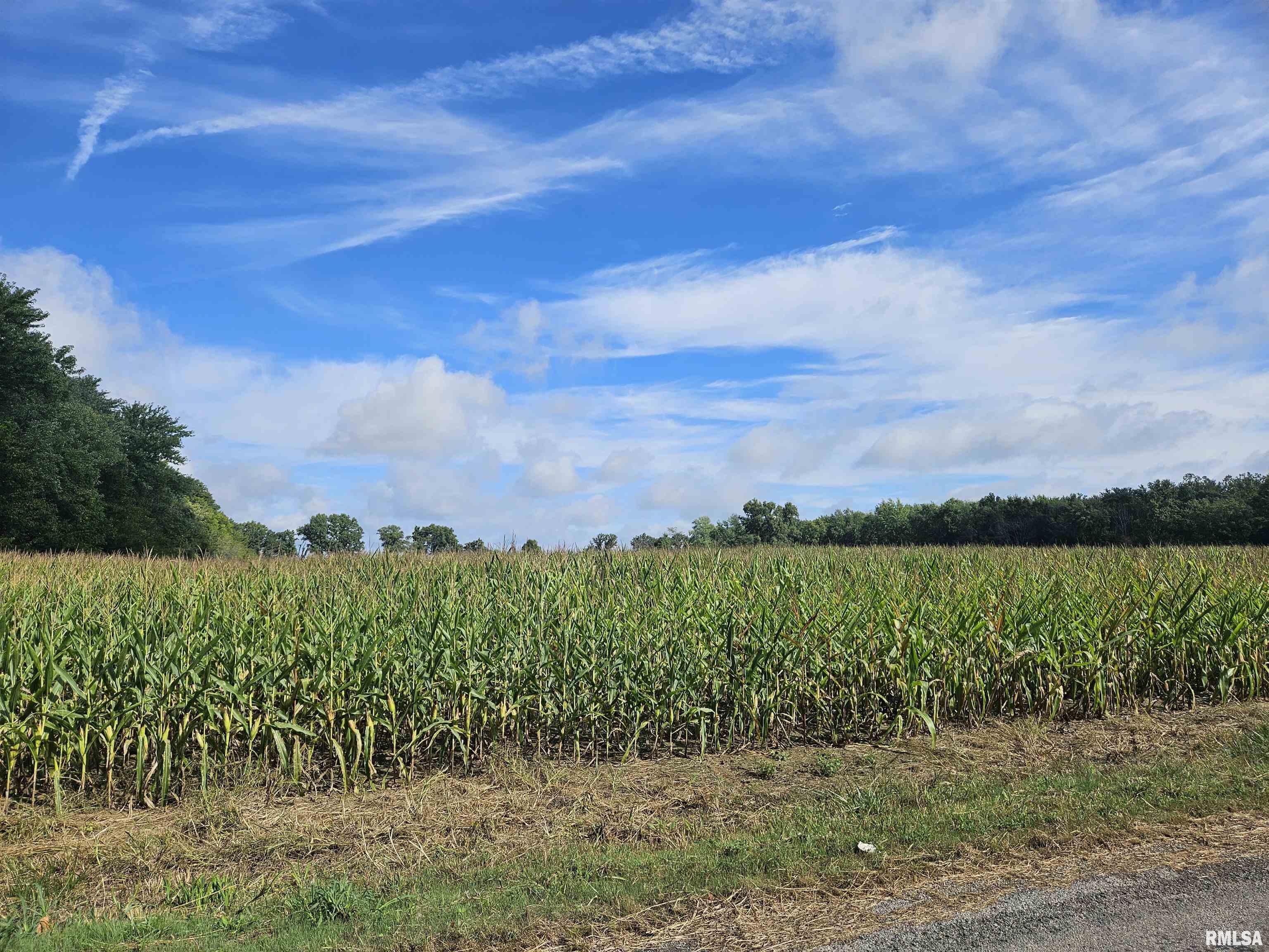 0 North County Line Road Ina, IL 62846 - Photo 11 of 13