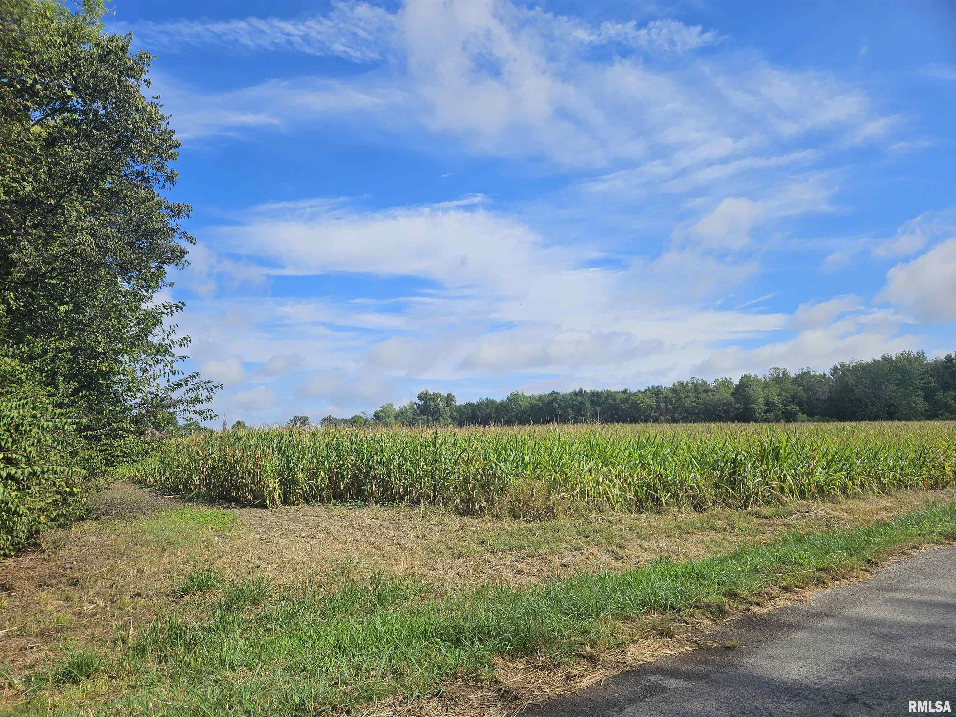 0 North County Line Road Ina, IL 62846 - Photo 12 of 13