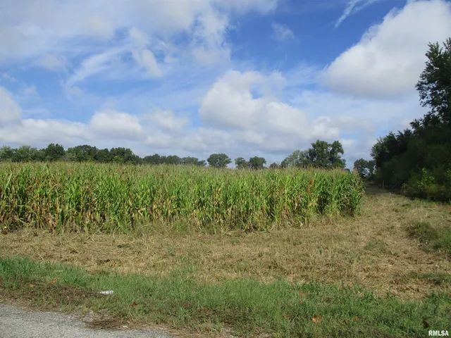 $300,000 | 0 North County Line Road, Ina, IL 62846