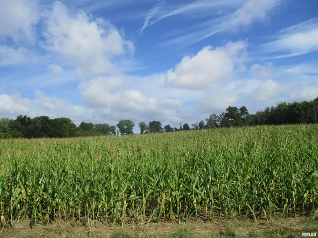 $300,000 | 0 North County Line Road, Ina, IL 62846