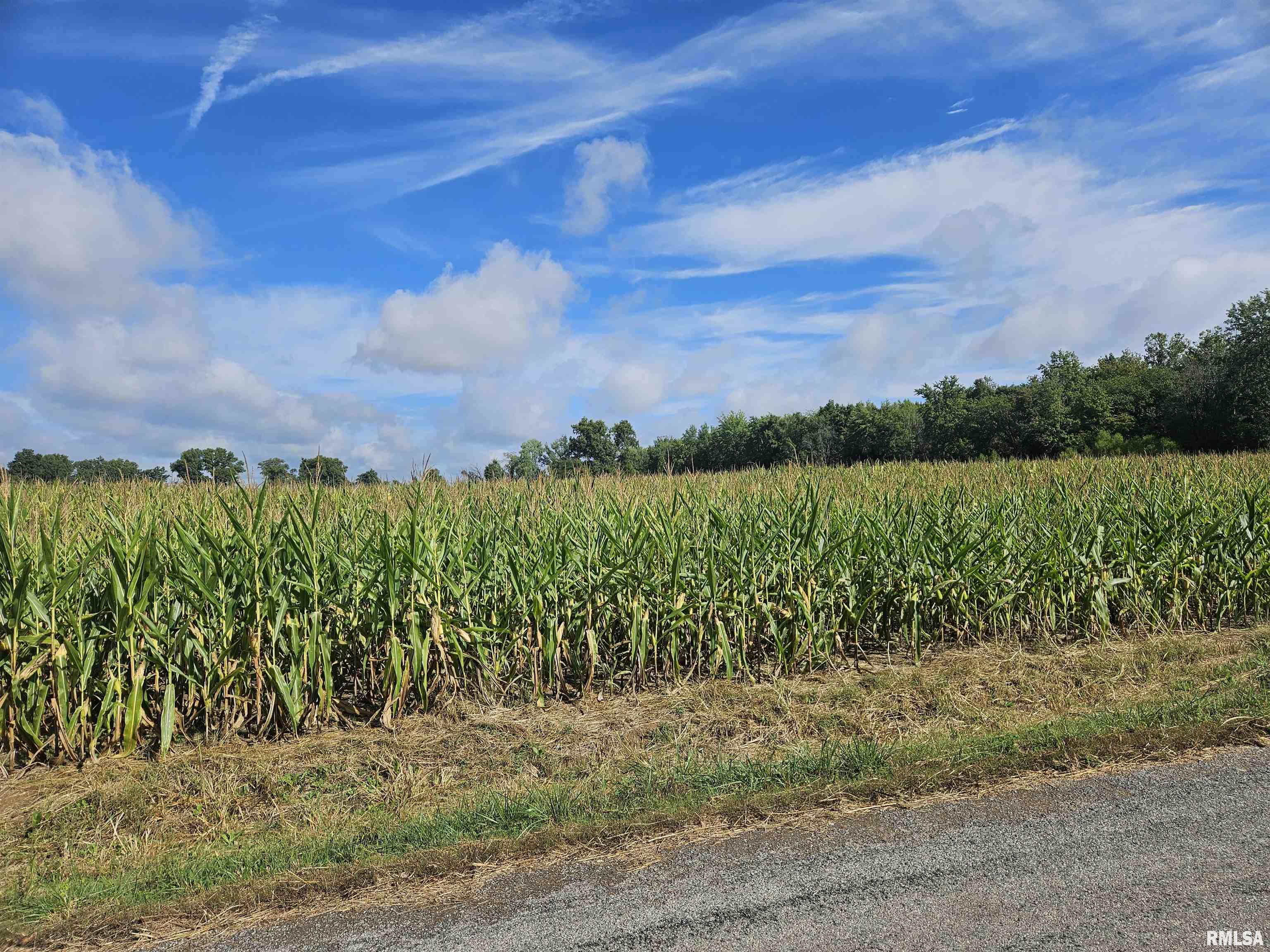 0 North County Line Road Ina, IL 62846 - Photo 8 of 13