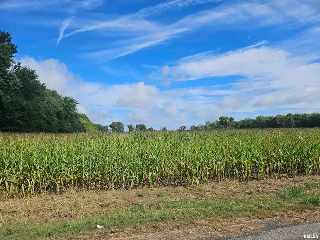 $300,000 | 0 North County Line Road, Ina, IL 62846