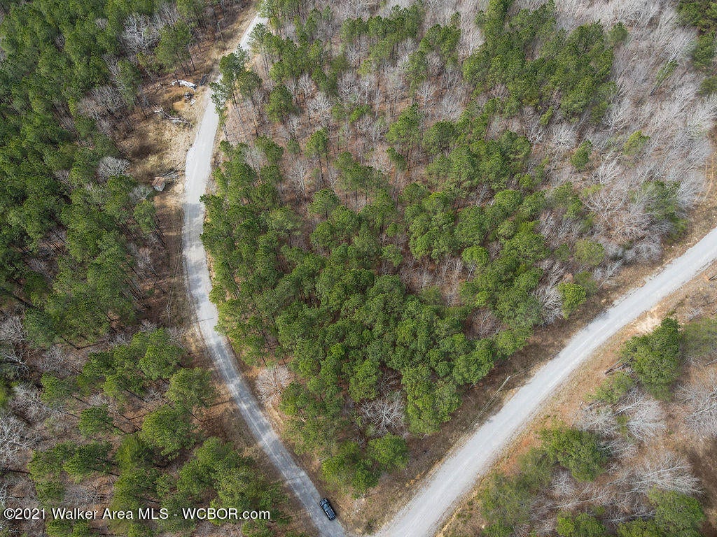 Lot#39 Turkey Bend Addison, AL 35540 - Photo 3 of 8 Gallery Image 3