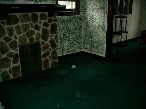 1139 Wayne Avenue McKees Rocks, PA 15136 - Photo 4 of 5 Other.