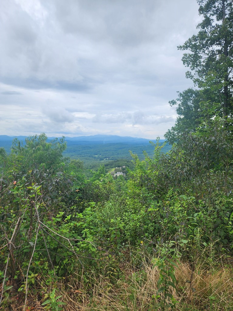0 Vance Mountain Road Murphy, NC 28906 - Photo 9 of 15 Potential View