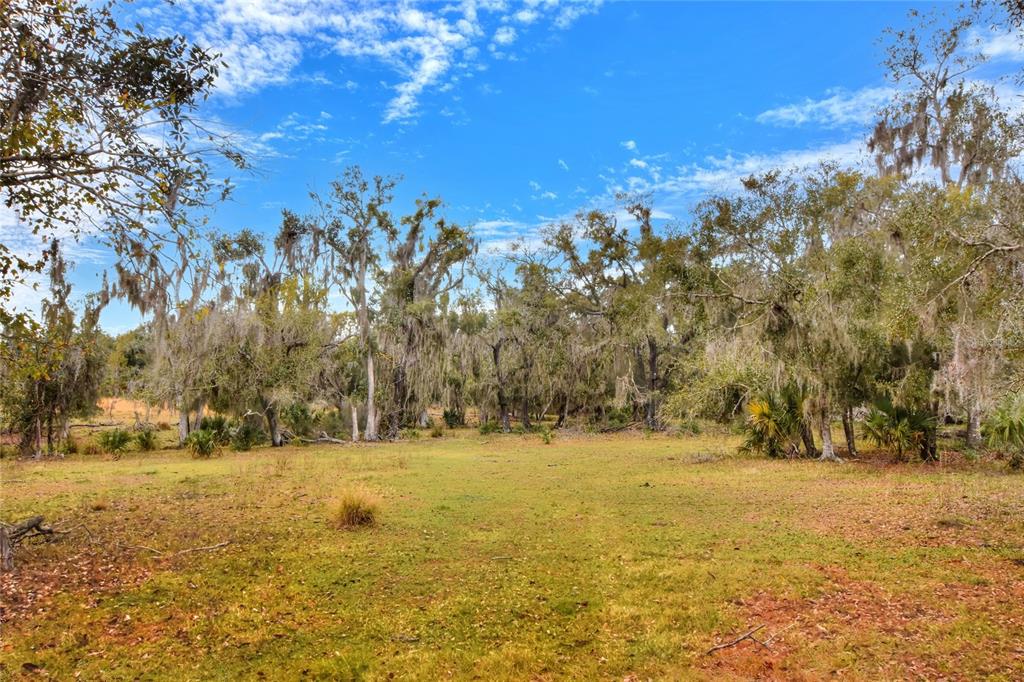 16302 Colding Loop Wimauma, FL 33598 - Photo 5 of 10 a view of yard