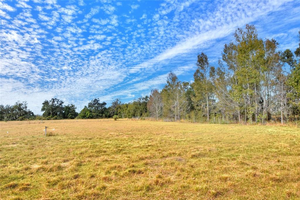 16302 Colding Loop Wimauma, FL 33598 - Photo 7 of 10 a view of an ocean view