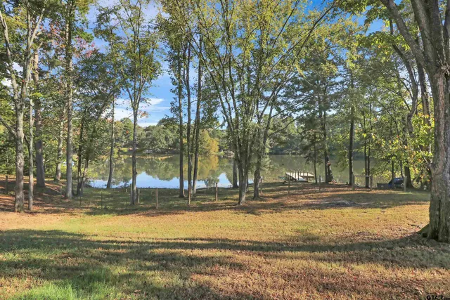 a view of a yard with large trees
