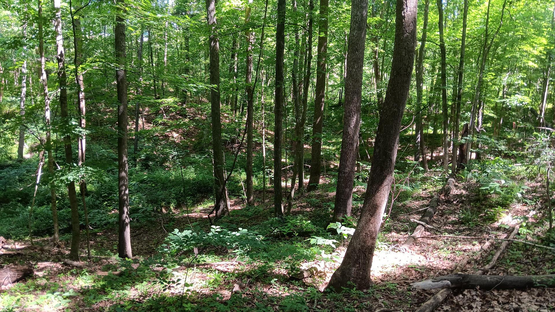 0 681st Road, Unit ALBANY HIDEAWAY TRACT 4) Albany, OH 45710 - Photo 26 of 47
