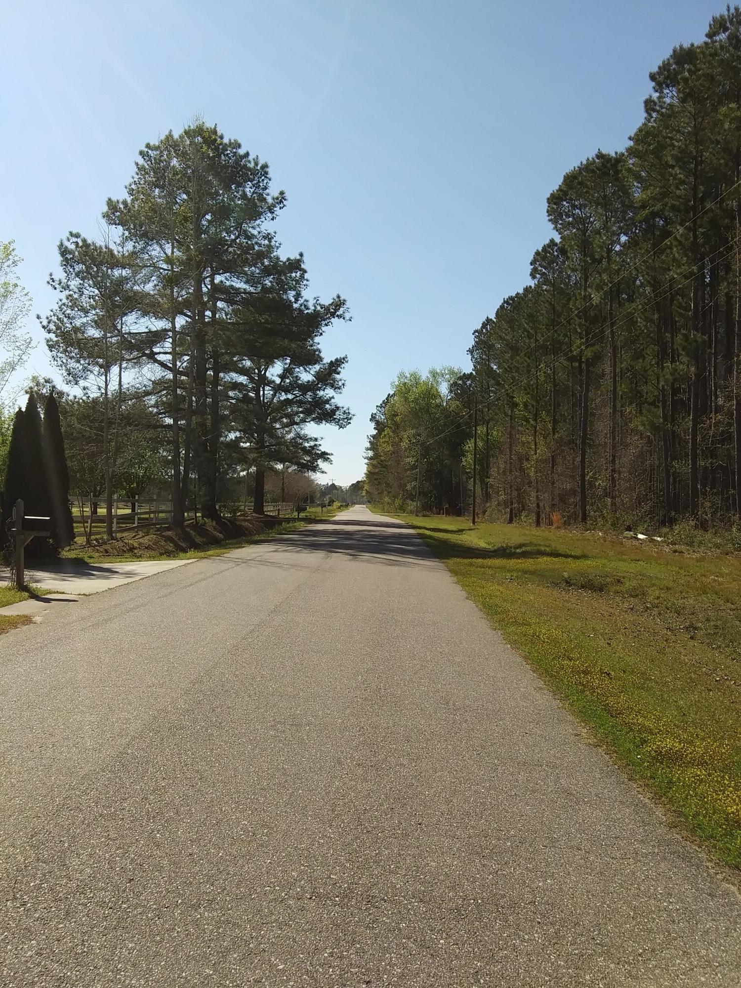 0 Campbell Road Ridgeville, SC 29472 - Photo 2 of 6 20190327_161905