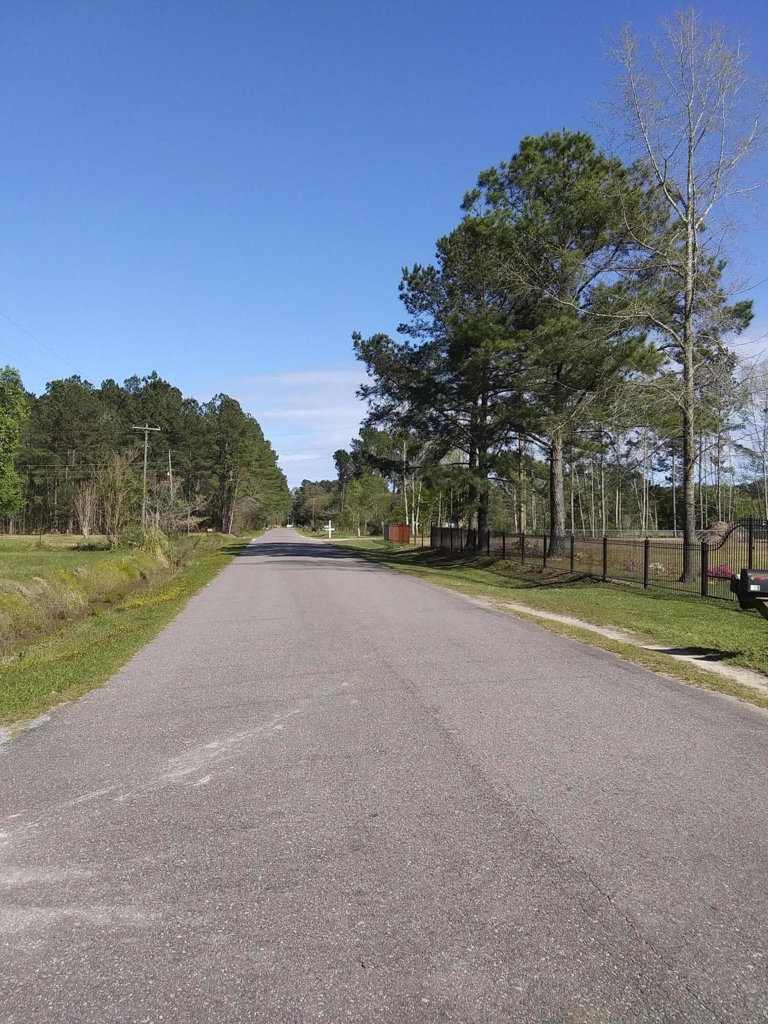 0 Campbell Road Ridgeville, SC 29472 - Photo 3 of 6 20190327_161928