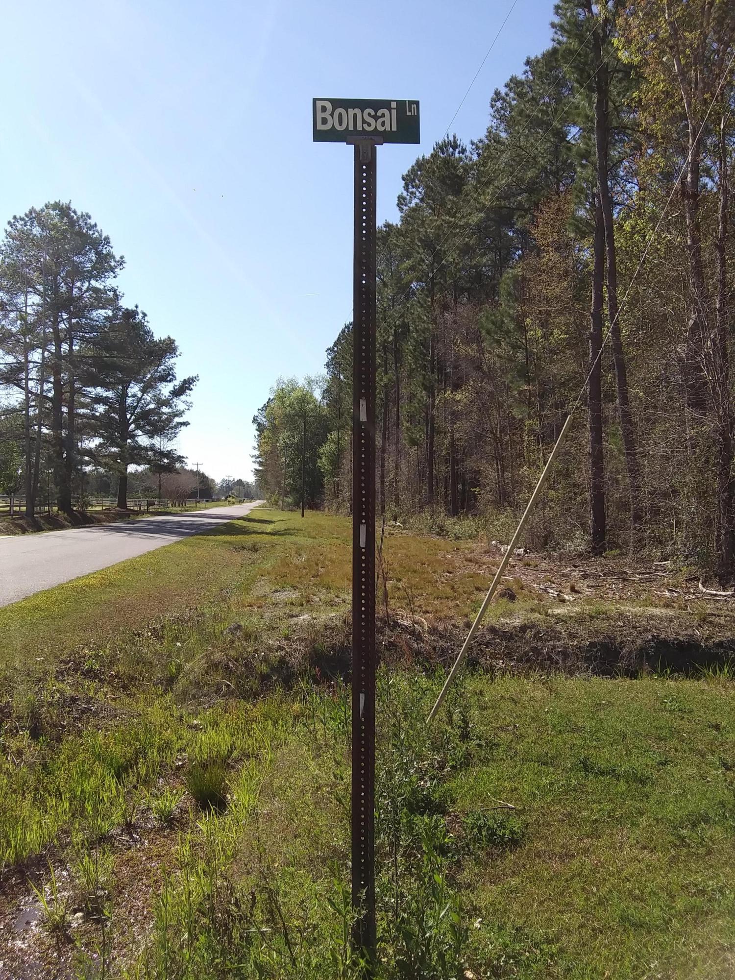 0 Campbell Road Ridgeville, SC 29472 - Photo 5 of 6 20190327_161940