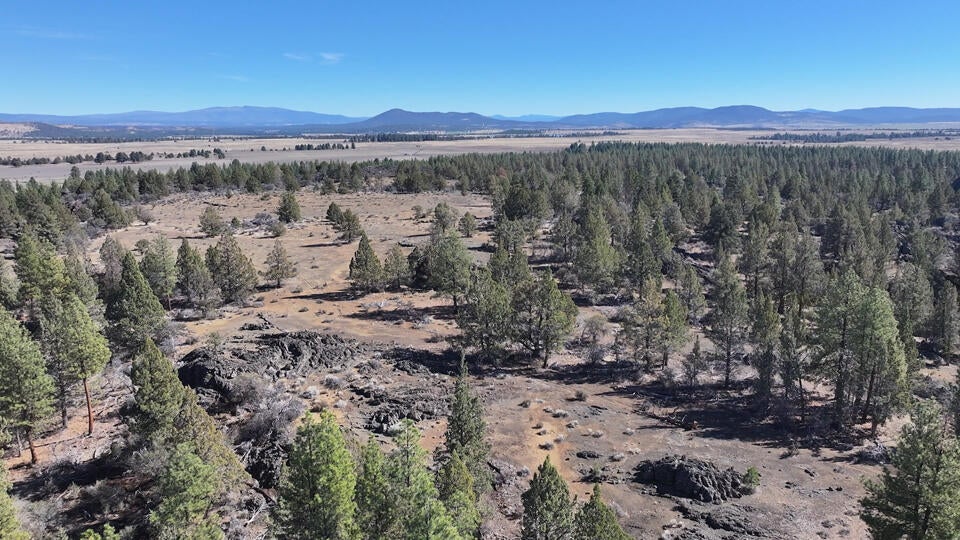 Oregon Pines Road, Unit TL 600 Chiloquin, OR 97624 - Photo 11 of 51 11