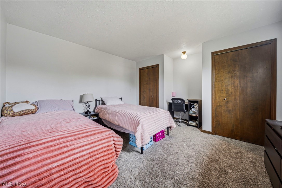 10610 Ridgewater Drive Painesville, OH 44077 - Photo 21 of 23 Carpeted room featuring two wood-finish closets and a ceiling-mounted light fixture