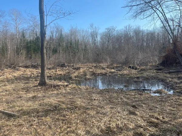 $49,900 | 24478 Wooded Circle, Finlayson, MN 55735