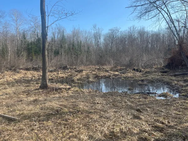 $49,900 | 24478 Wooded Circle, Finlayson, MN 55735