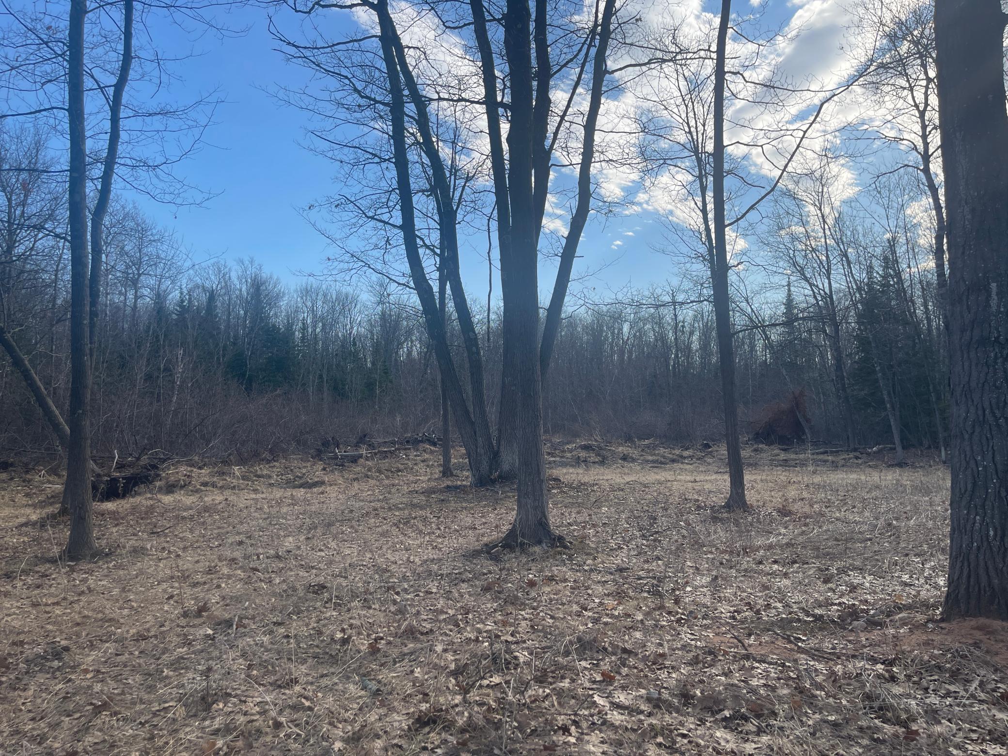 24478 Wooded Circle Finlayson, MN 55735 - Photo 2 of 19