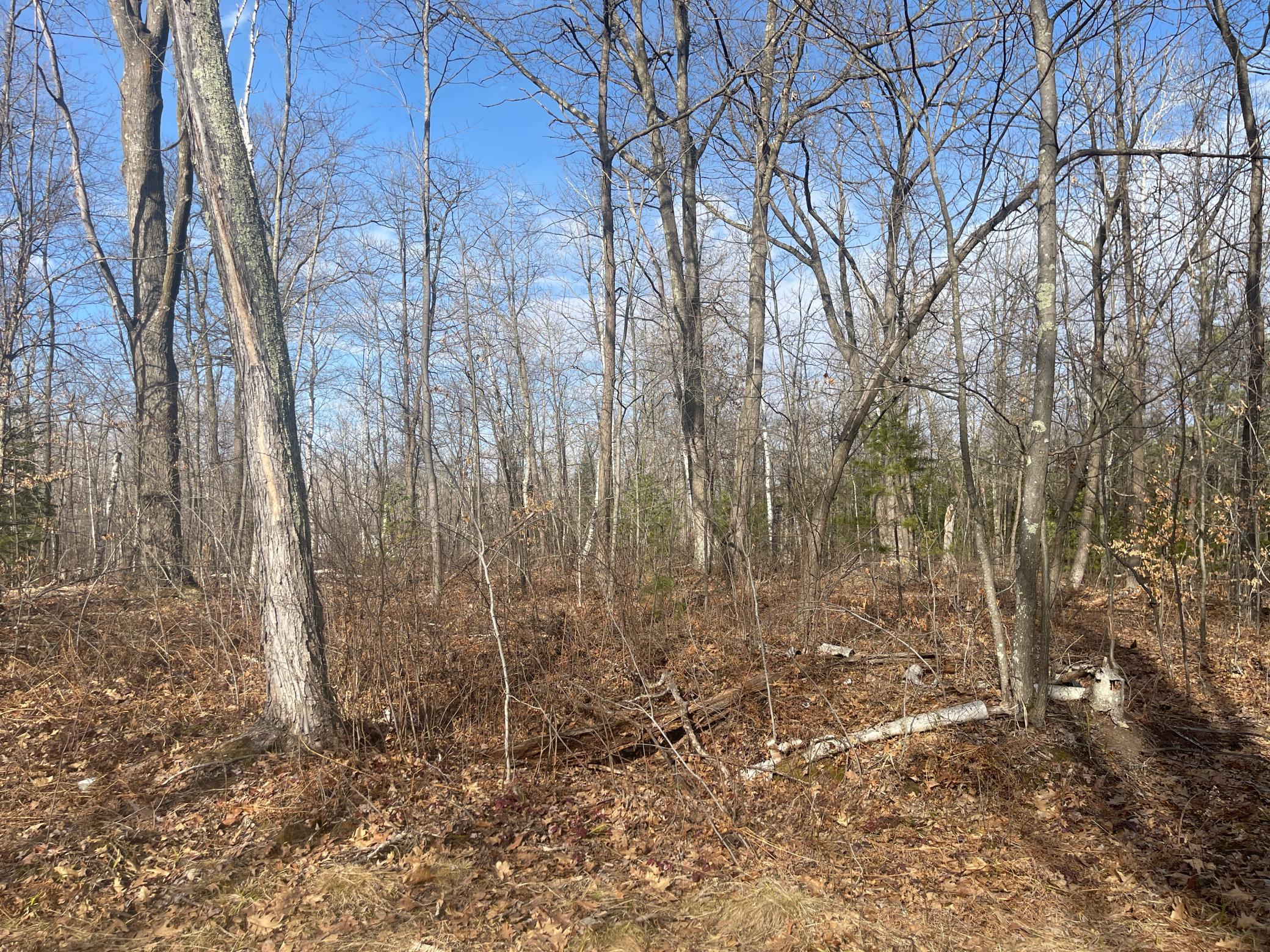 24478 Wooded Circle Finlayson, MN 55735 - Photo 4 of 19