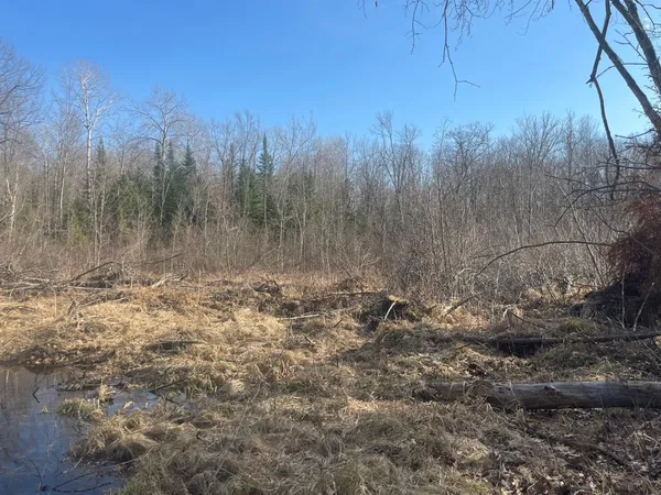 $49,900 | 24478 Wooded Circle, Finlayson, MN 55735