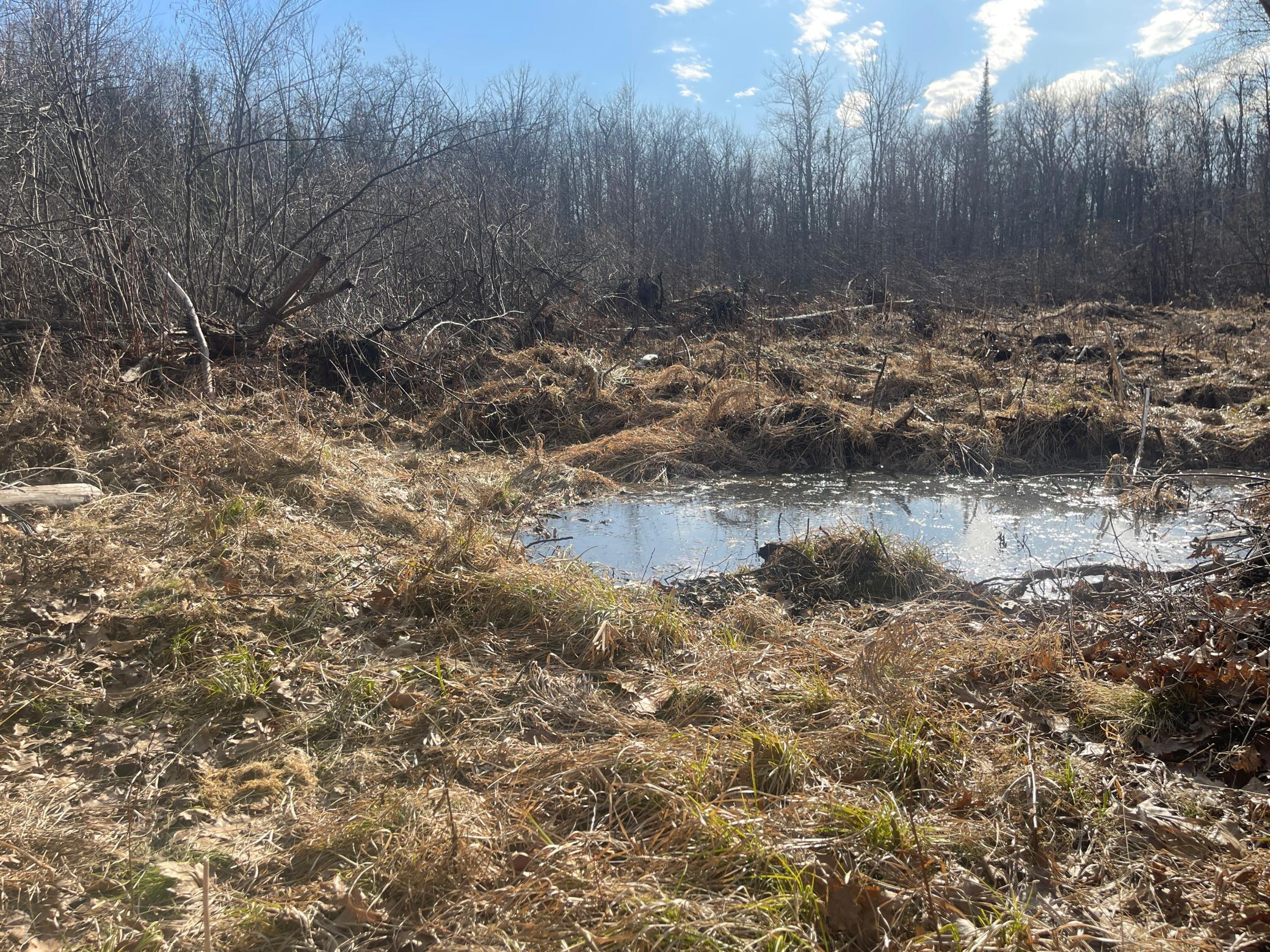 24478 Wooded Circle Finlayson, MN 55735 - Photo 7 of 19