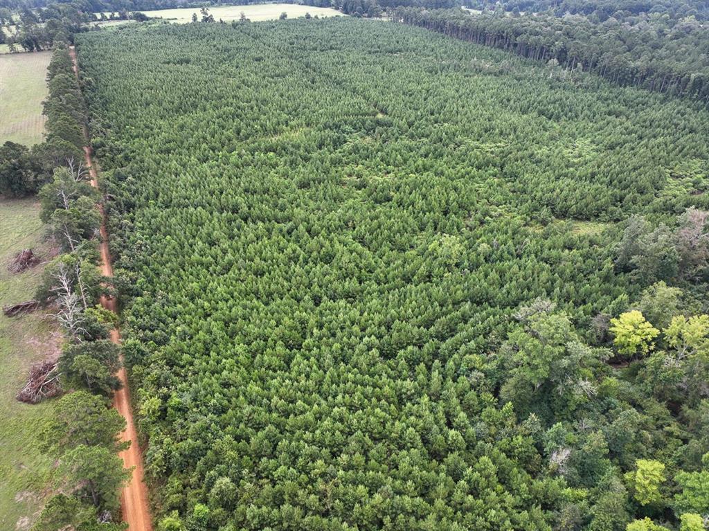 Aerial view of sparsely populated area featuring a heavily wooded area