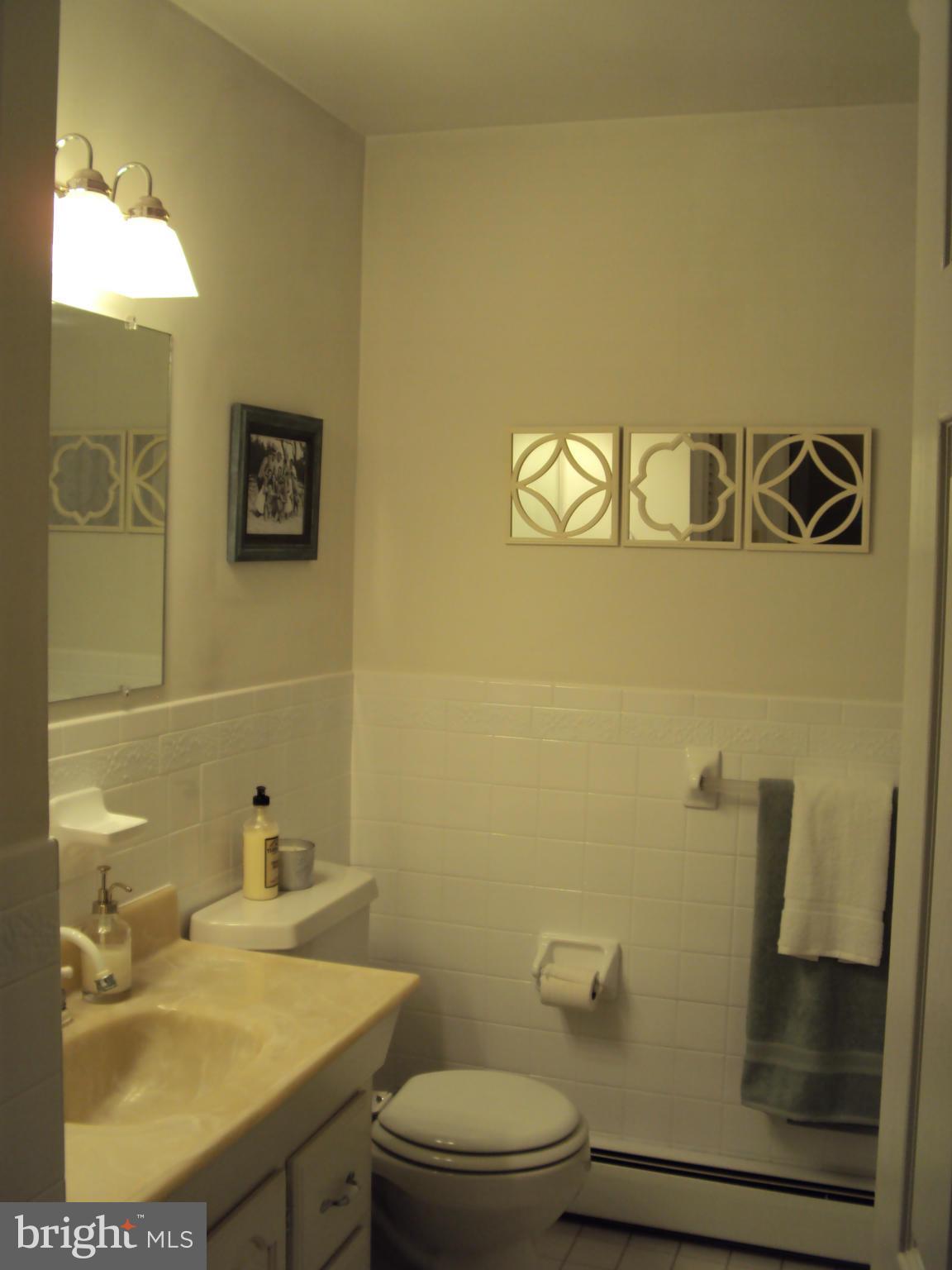 8337 Walter Martz Road Frederick, MD 21702 - Photo 20 of 30 Bath