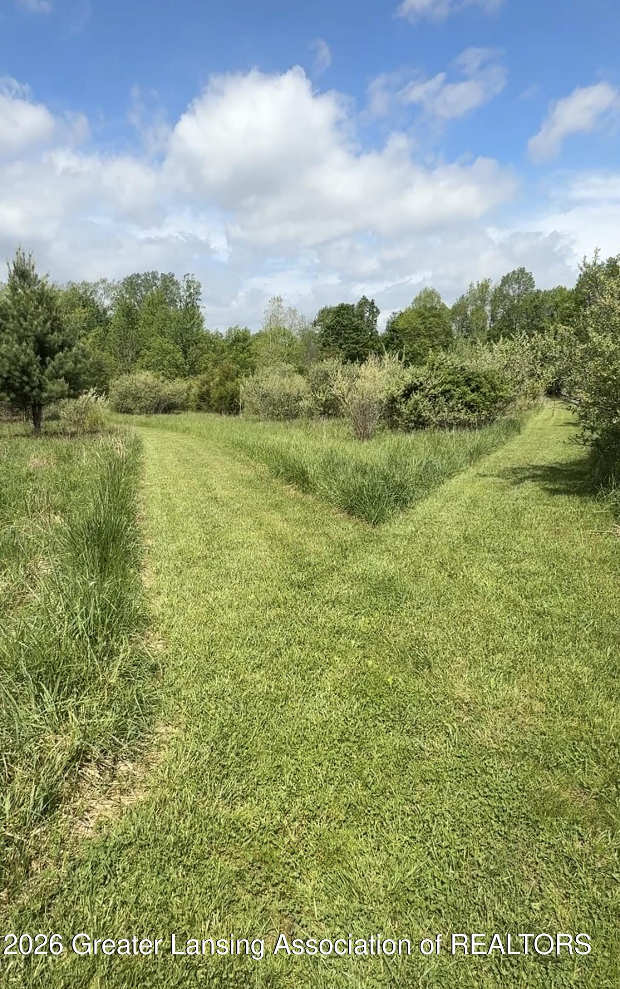 6275 South Morrice Road Perry, MI 48872 - Photo 60 of 60 IMG_2734