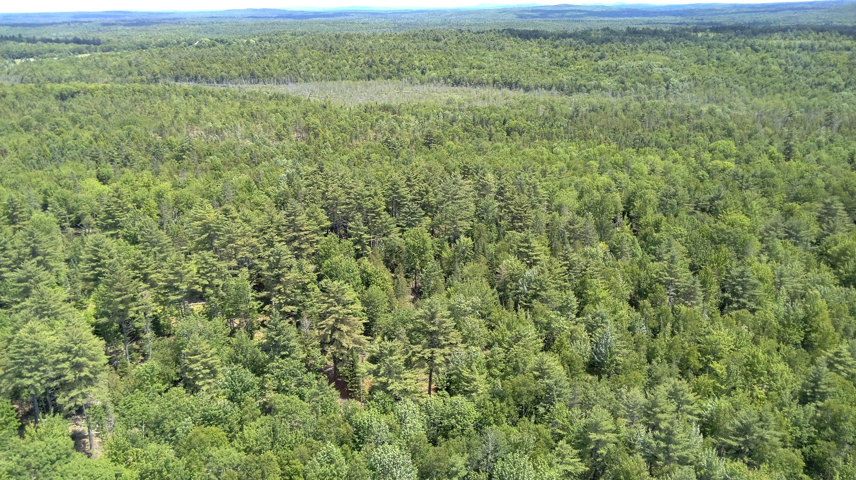 5 Fickett Road Etna, ME 04434 - Photo 8 of 23