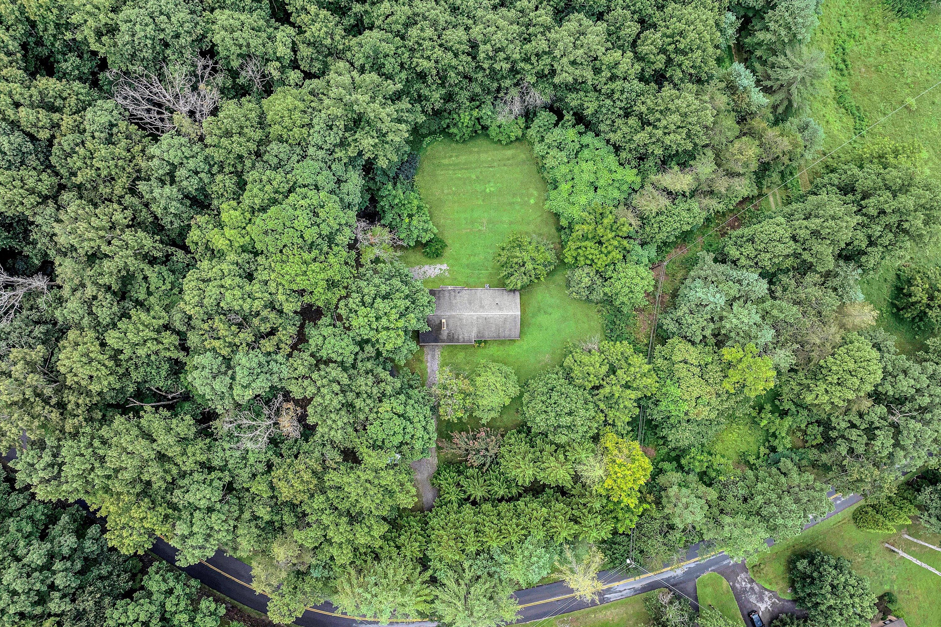 4463 Nemmo Road Vinton, VA 24179 - Photo 29 of 34 a view of a garden with a building