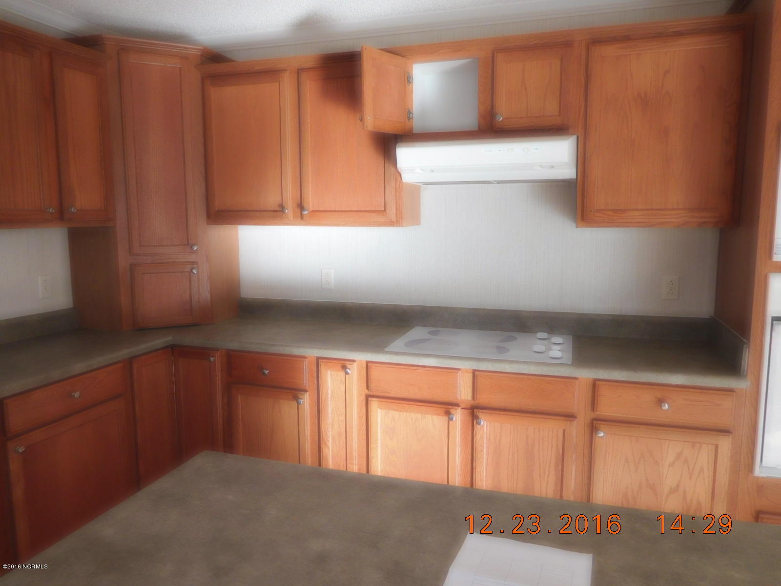 340 Sandlin Road Beulaville, NC 28518 - Photo 6 of 37 DSCN2418