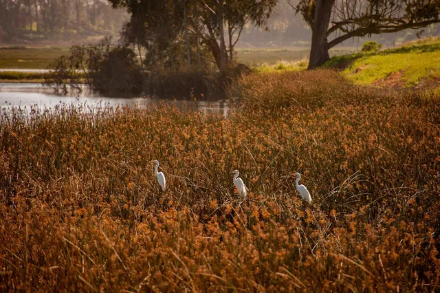 a view of an ocean and beach