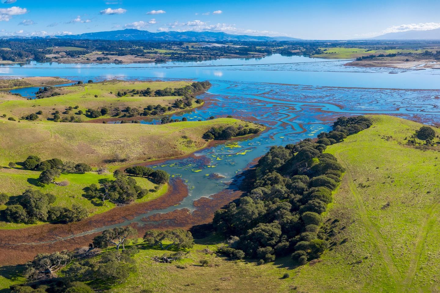 967 Salinas Road Watsonville, CA 95076 - Photo 22 of 23 a view of an ocean and beach